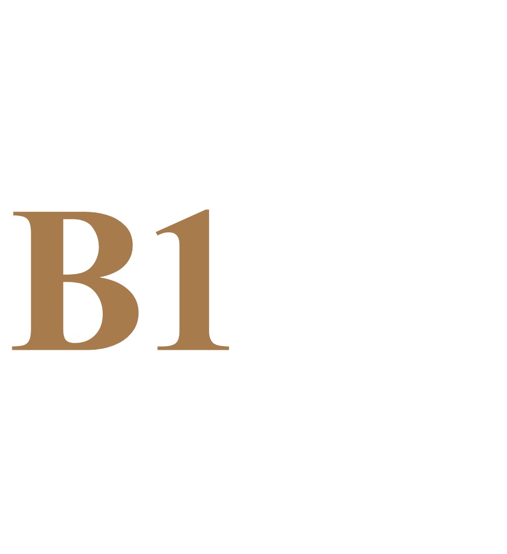 B1 Partner